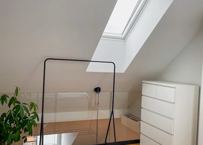 公寓 Finna New In Center Of Free Parking *